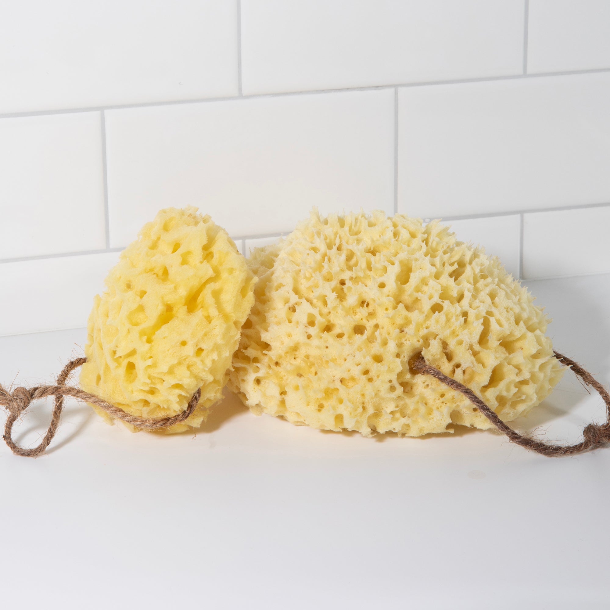 Sustainable Sea Sponge