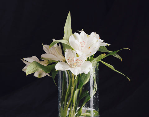 Lily Flower Vase - Sola Wood Flowers