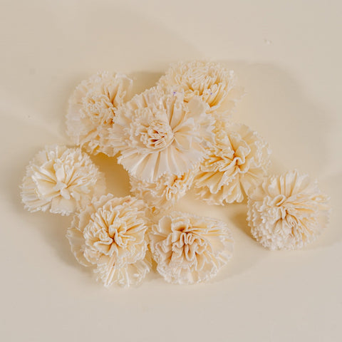 Floral Foam – Sola Wood Flowers