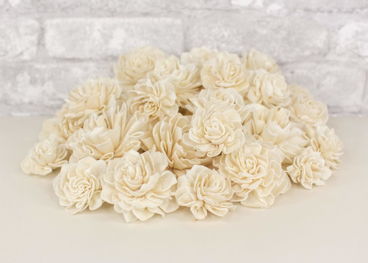 Raw Sola Wood Flower Assortment -Carnation Variety Pack