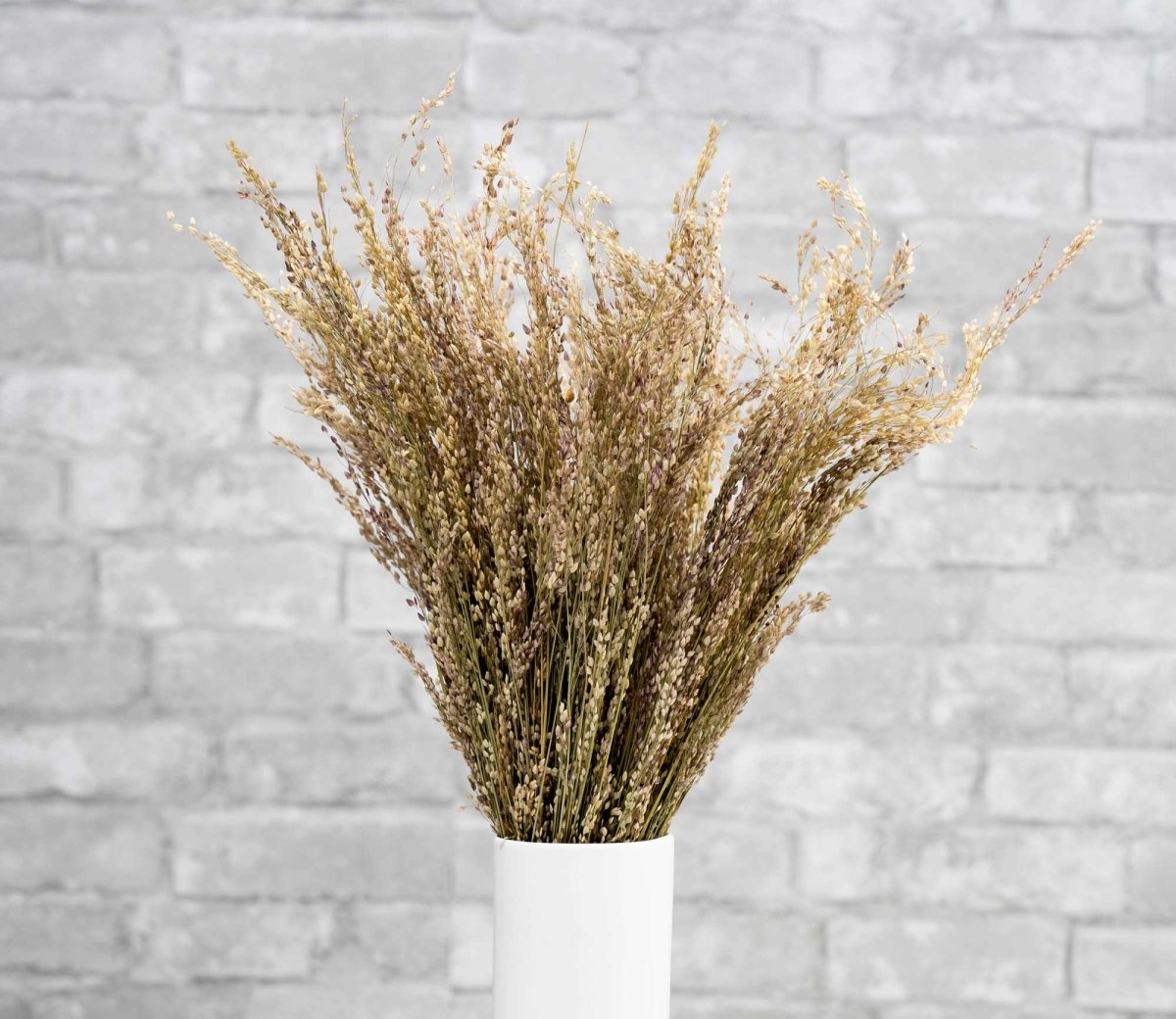 Dried Echinops Ritro in Natural, Dried flowers for home décor, Wedding –  SolaFlowerStore