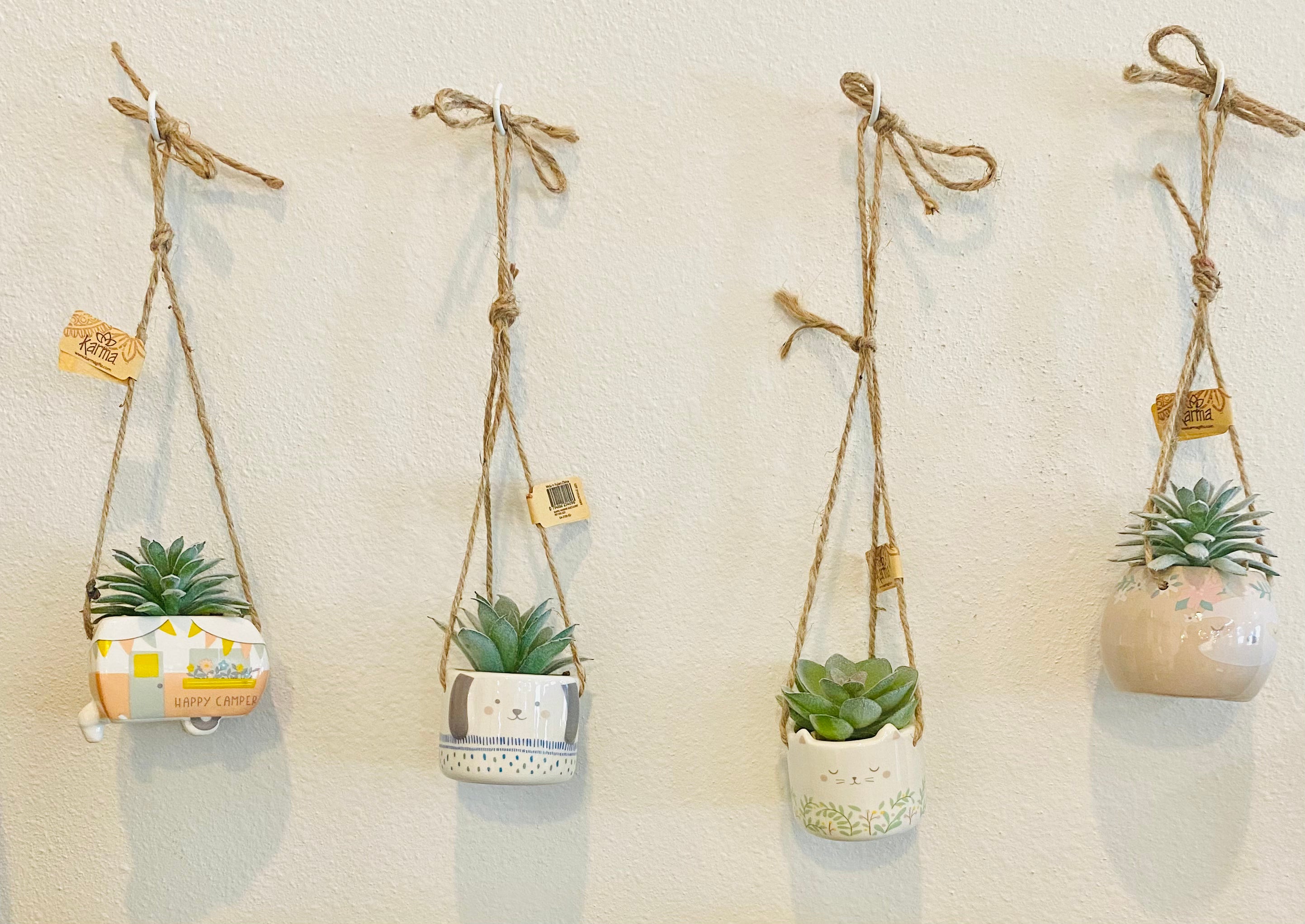 Mini Succulent Hanging Plant