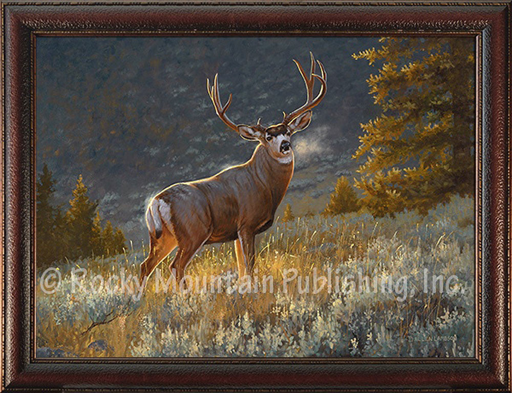 Morning Glow – Giclee Canvas by Dallen Lambson | Gallery4Collectors.com