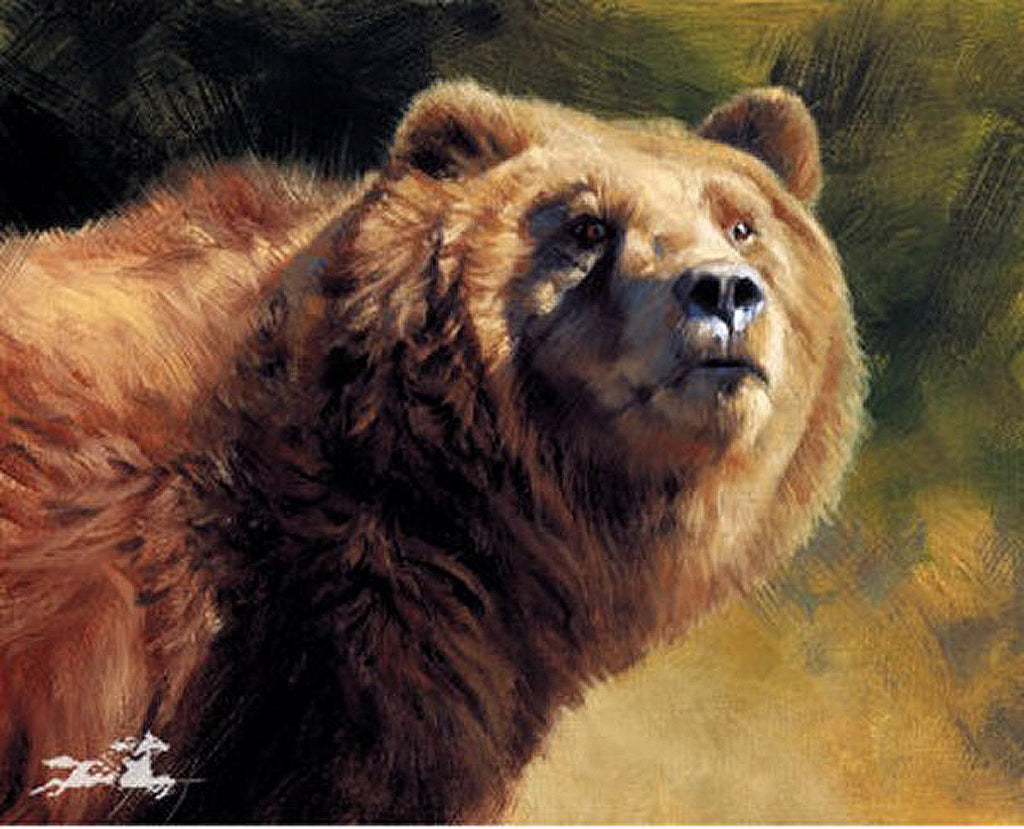 Портрет медведя живопись
