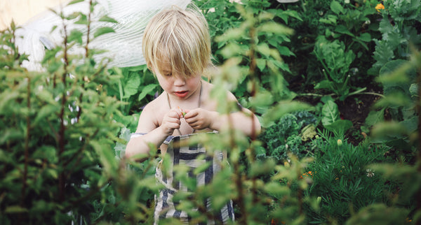 Young blonde boy wearing overalls in a tall veggie garden