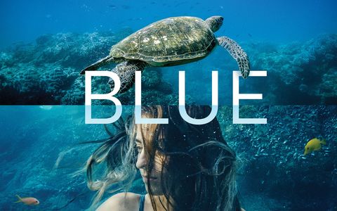 Blue The Movie 