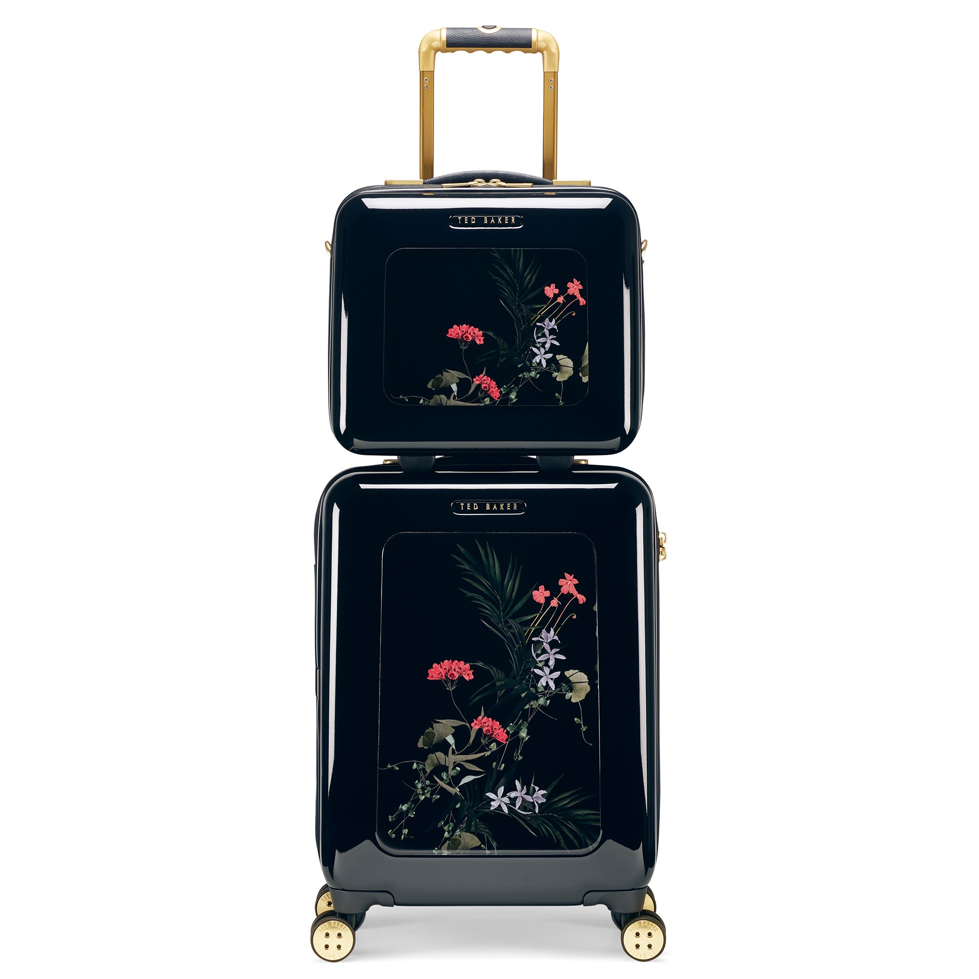 ted baker flight case