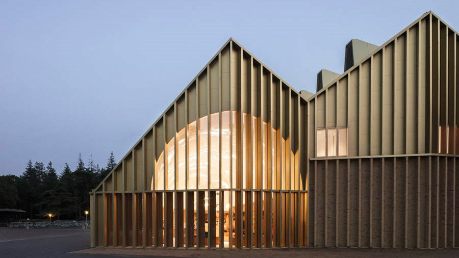 A Pavilion Where Lighting Mimics Branches, Leaves—and Chipmunks