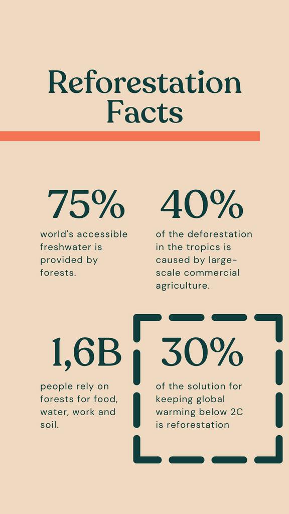 Reforestation Facts