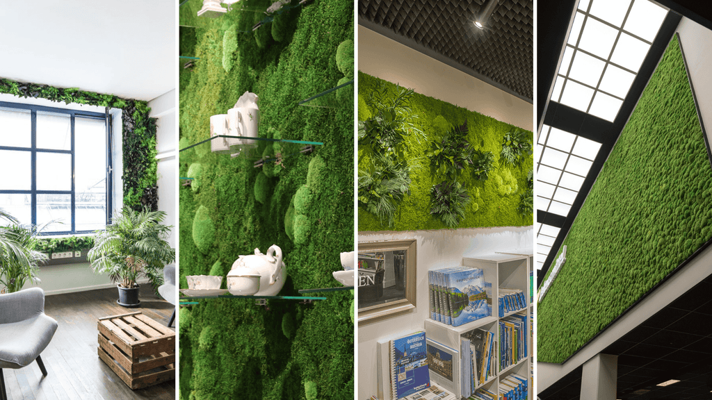 Design Your Indoor Plant Wall Art Moss Walls Plant Walls