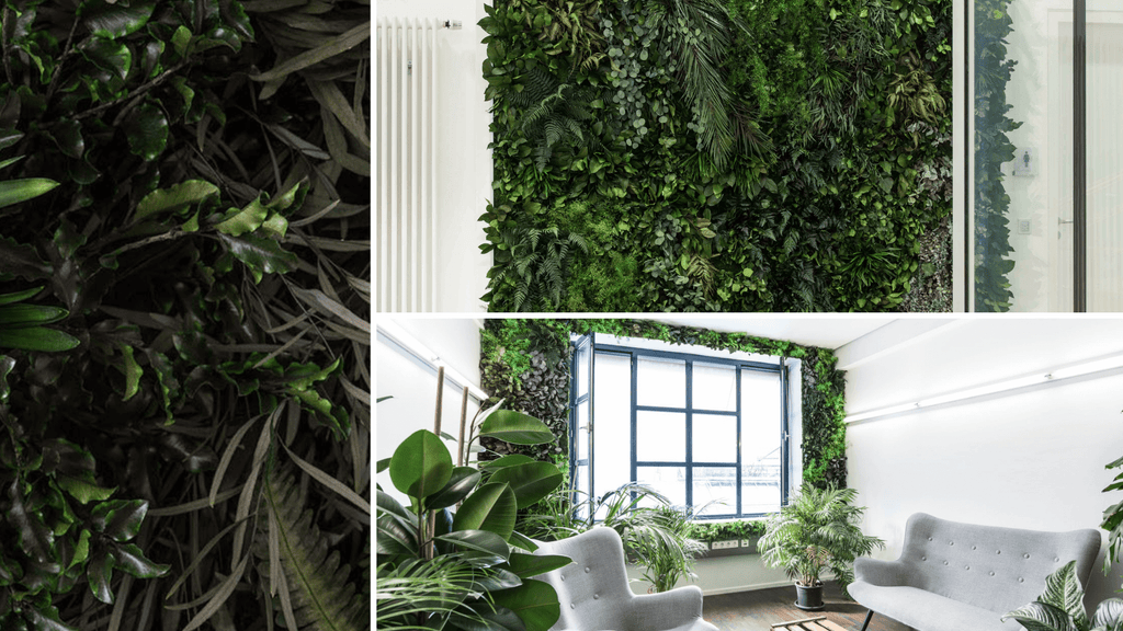 Design Your Indoor Plant Wall Art Moss Walls Plant Walls