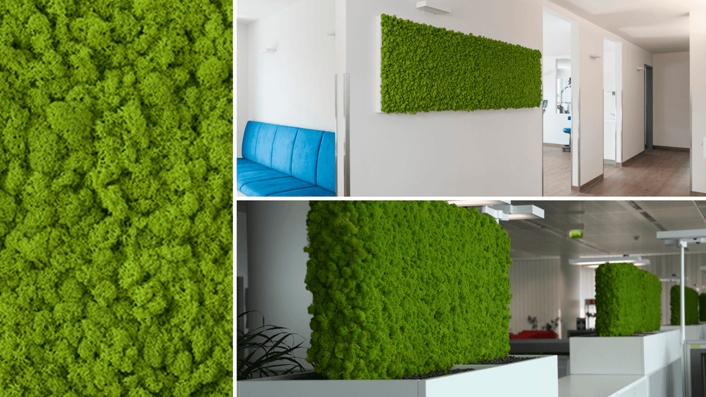 Design Your Indoor Plant Wall Art Moss Walls Plant Walls