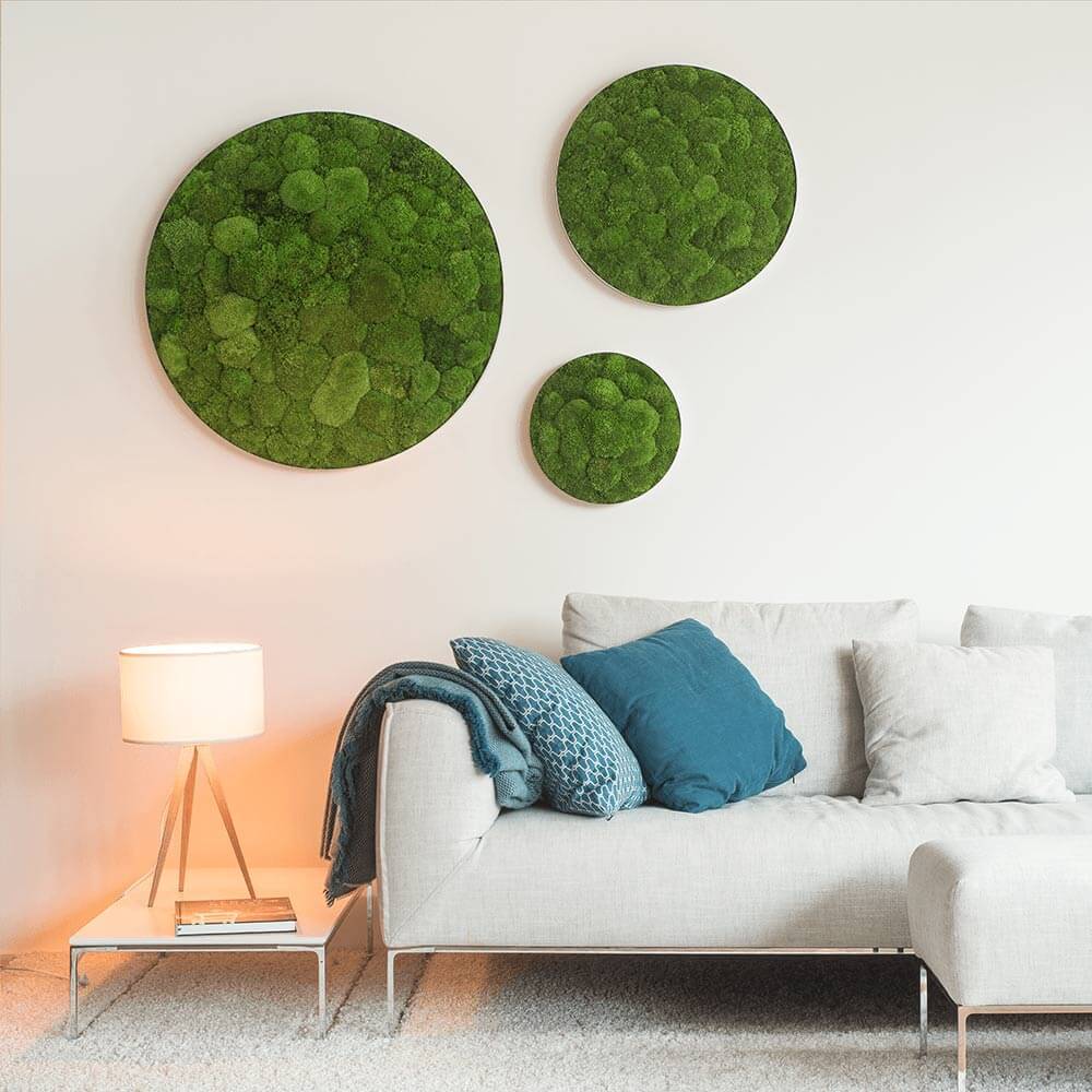 Green Circle Decorative Moss Wall Art