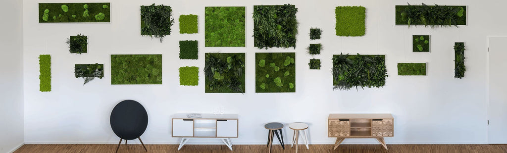 Plant wall art and moss wall art options in showroom