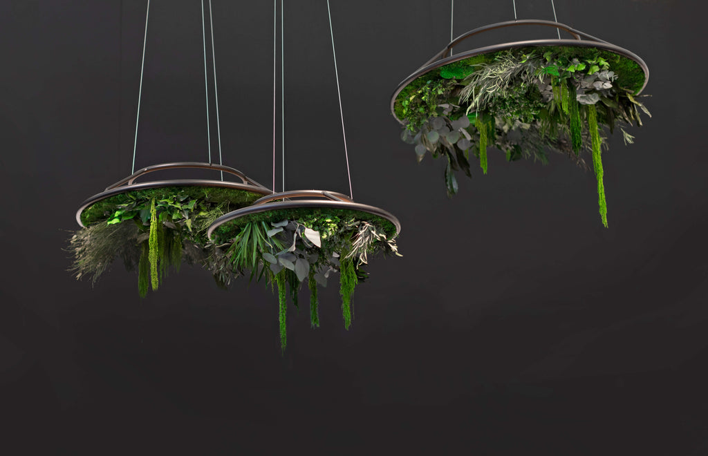 Plant Hanging Rings