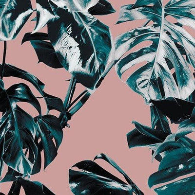 Pink Monstera Mural: Pink and Monstera Wallpaper | Forest Homes