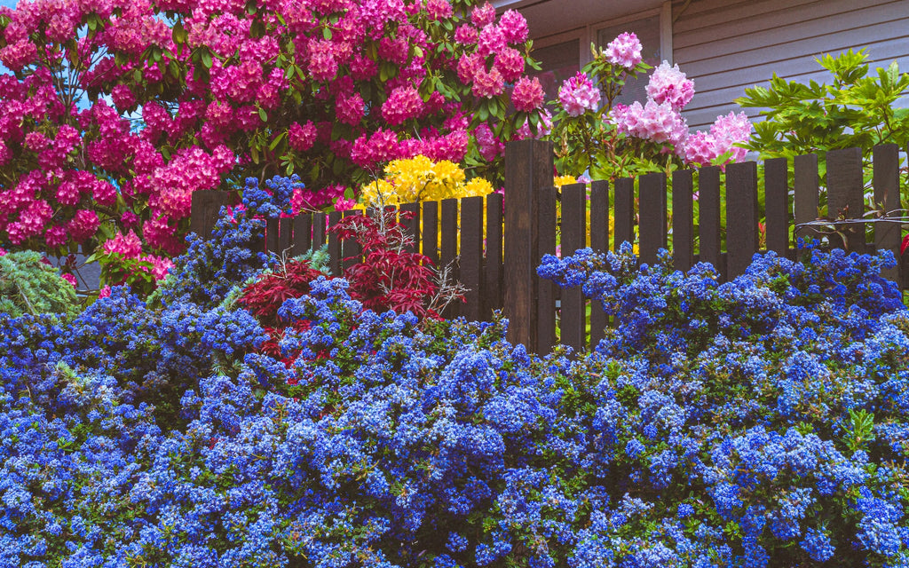 What can you learn about abundance from nature?