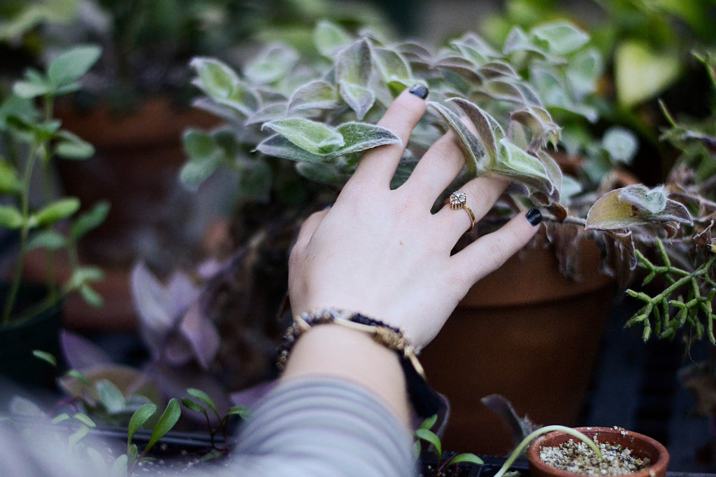 Forest Homes - The profound desire to interact with plants