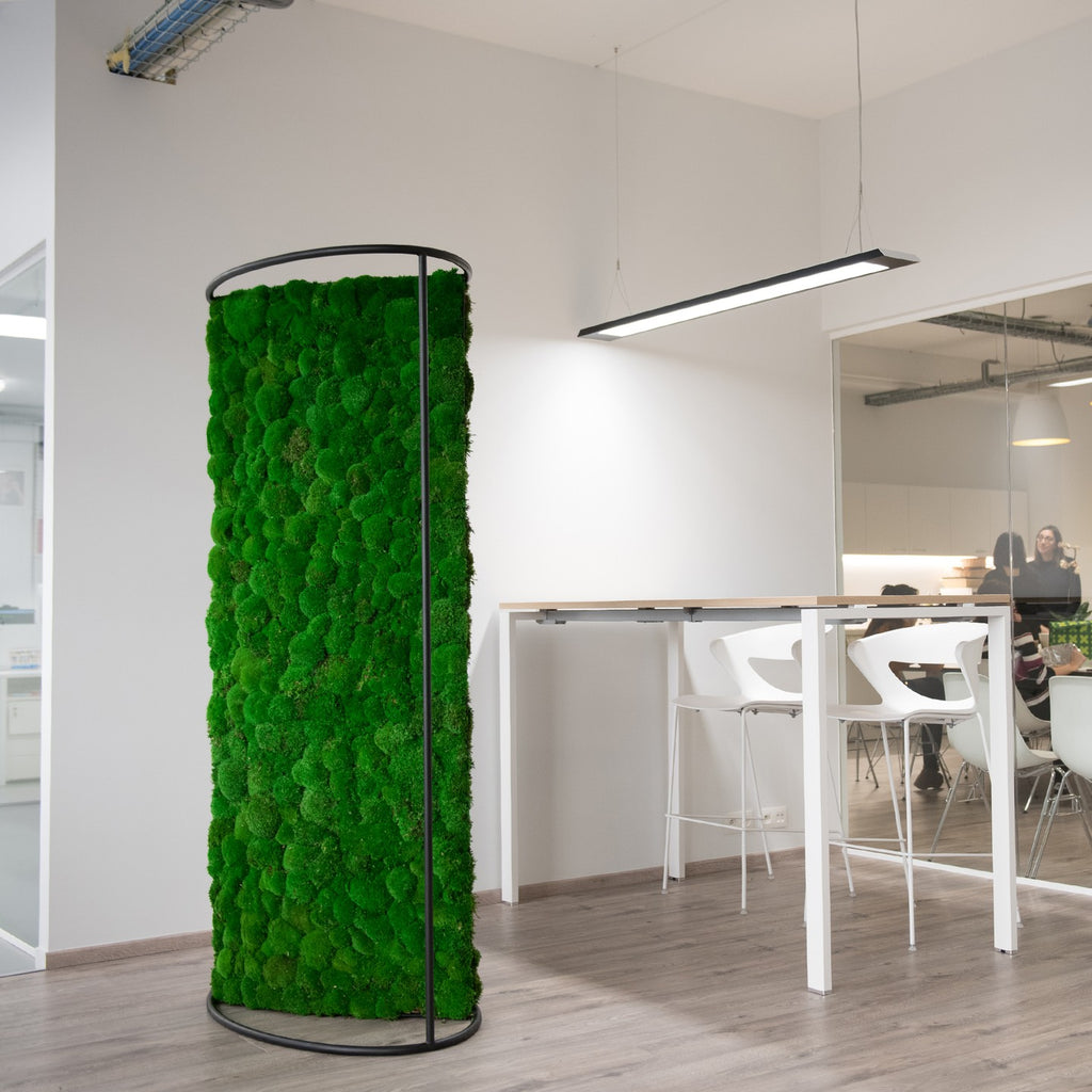 plant and moss wall art at the office or workspace