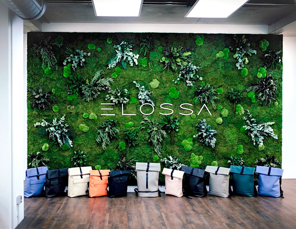 plant and moss wall art at the office or workspace