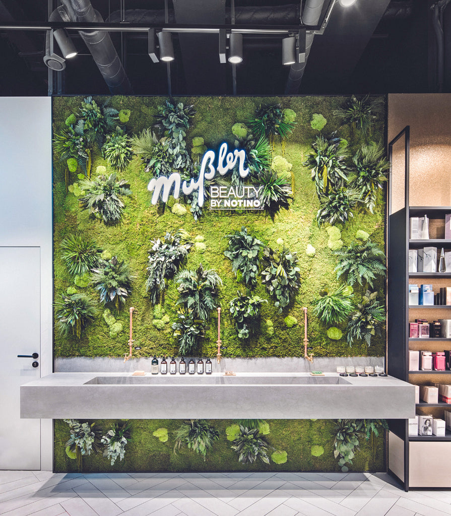 plant and moss wall art at the office or workspace