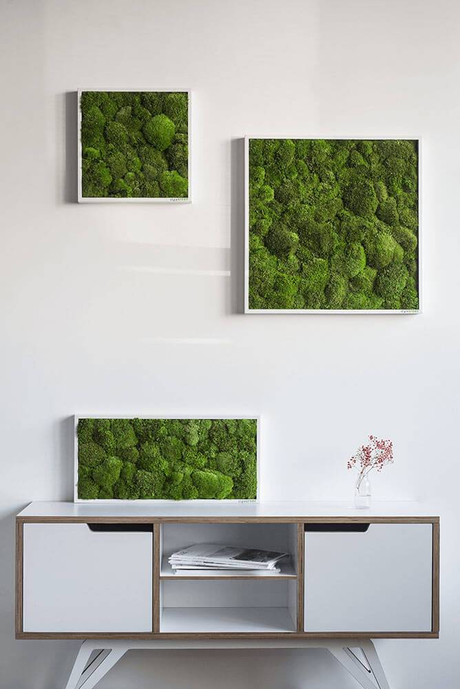 download free moss walls