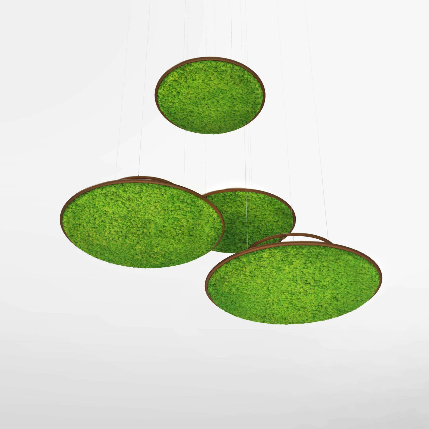 Moss Circles 3D or in Suspension: Moss Wall Design | Forest Homes