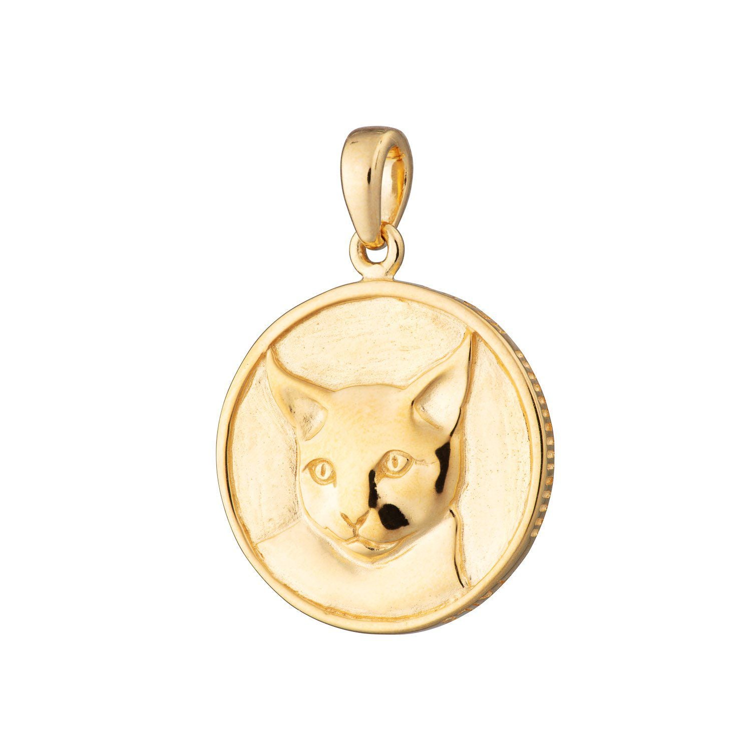 Cat Heads and Tails Charm