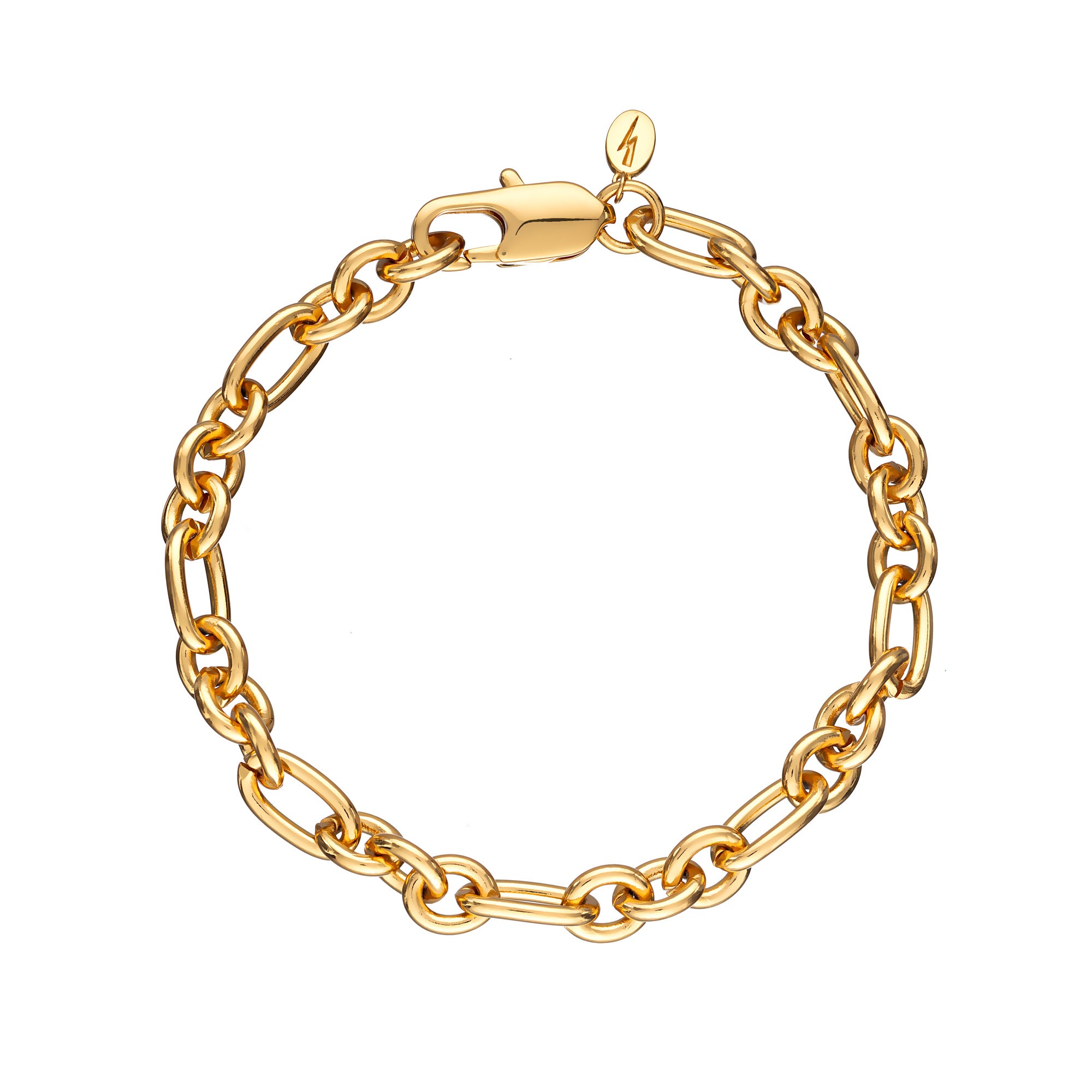 Chunky Chain Bracelet with Parrot Clasp