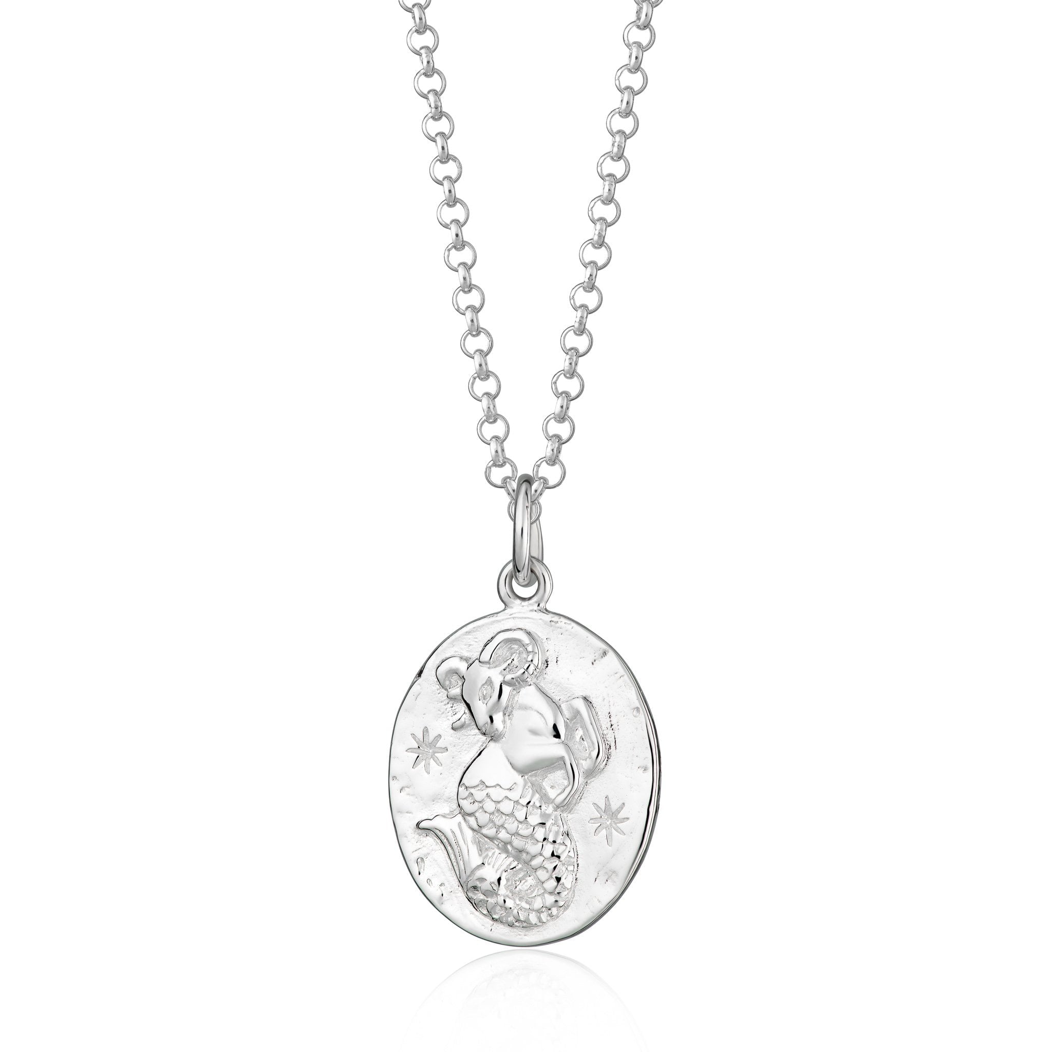 Capricorn Zodiac Necklace