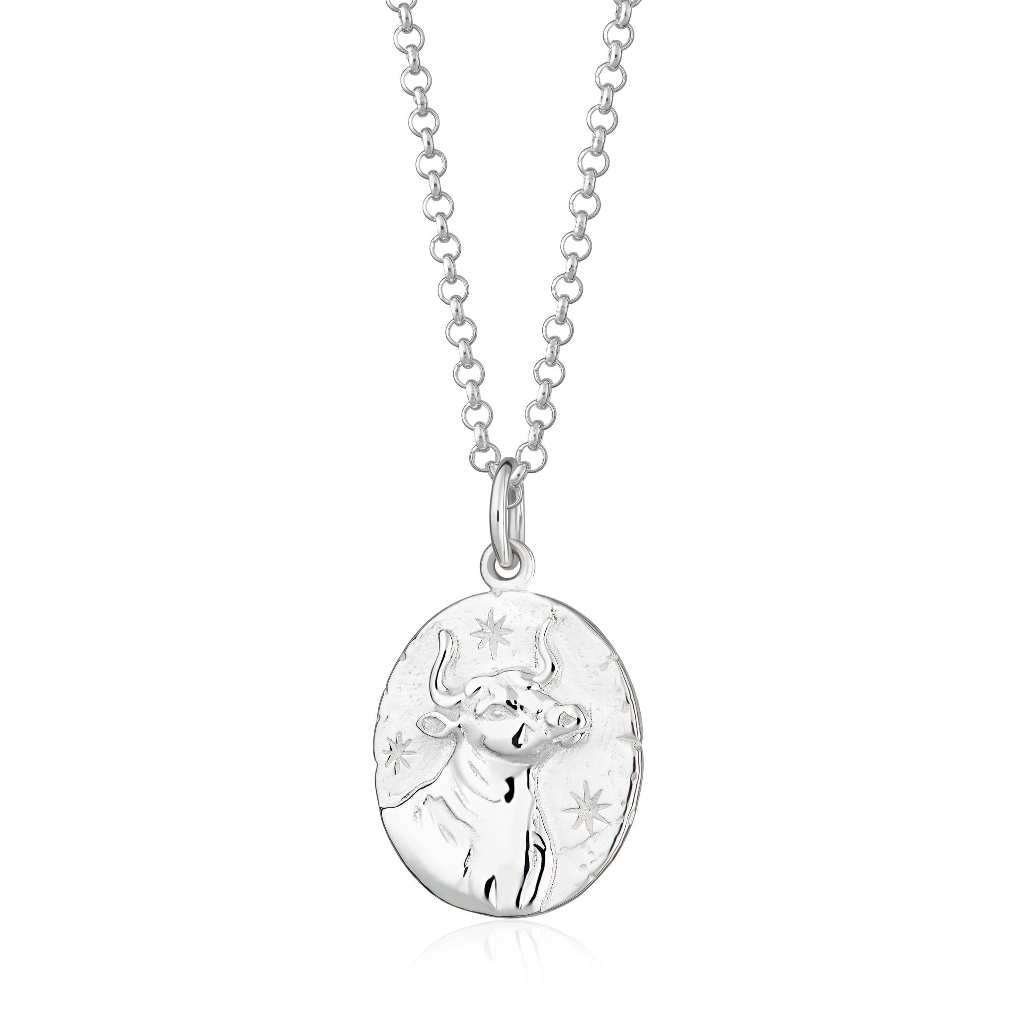 Taurus Zodiac Necklace