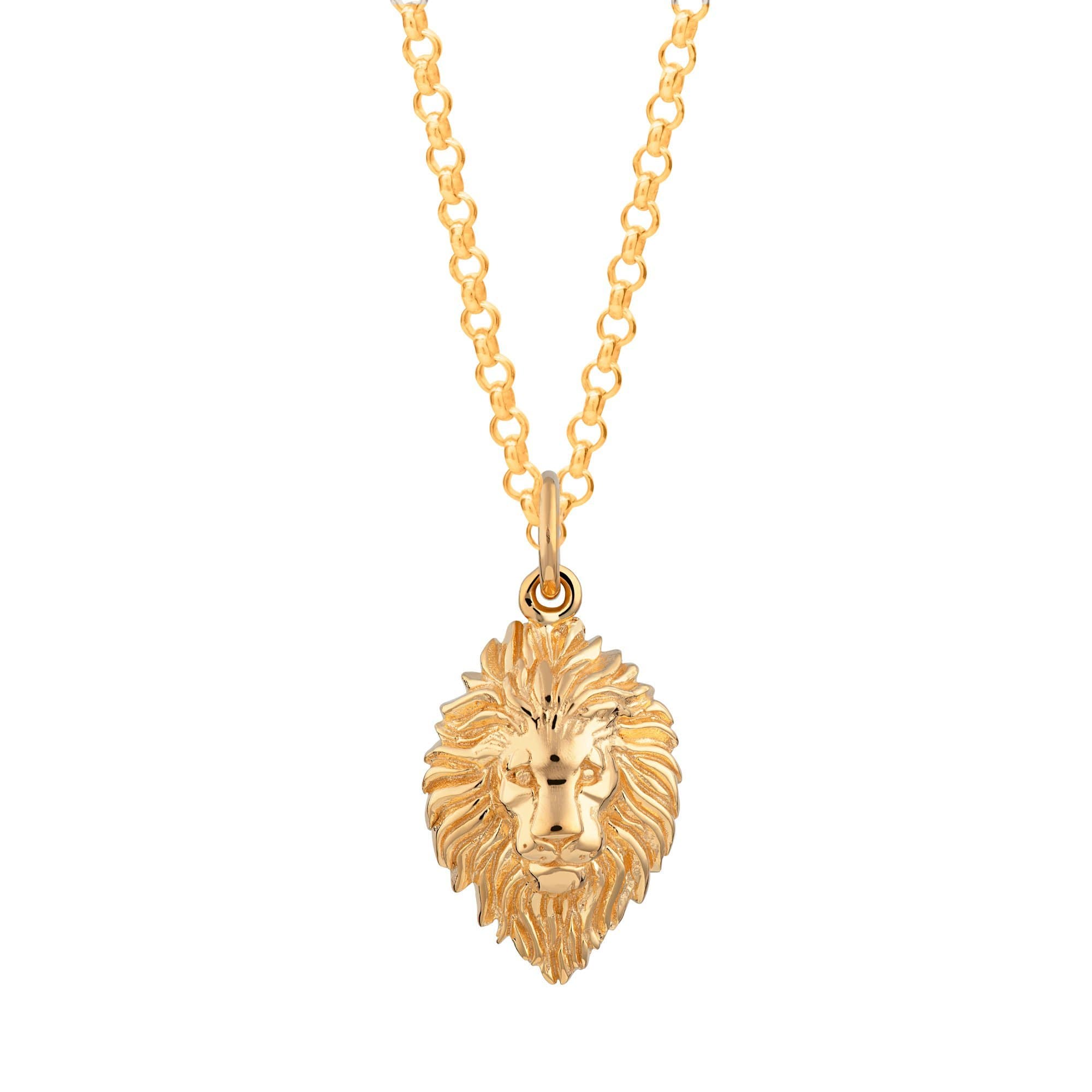 Lion Head Necklace