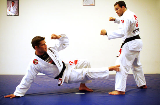 Self-Defense vs. Sports Jiu Jitsu – BJJ Fanatics