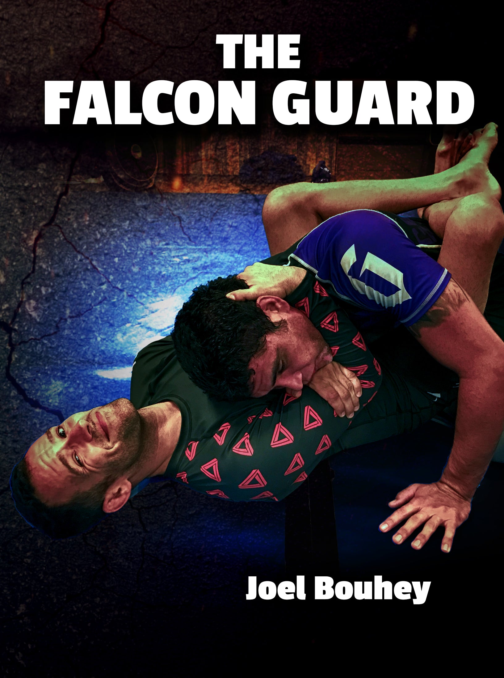 the falcon guard by joel bouhey