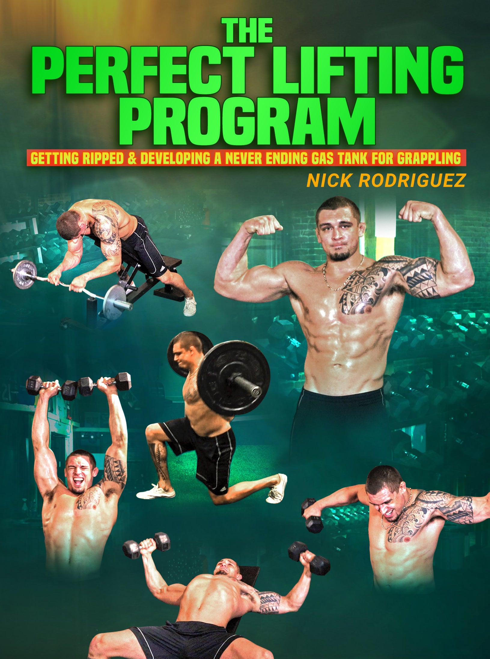 The Perfect Grappling Workout by Nick Rodriguez