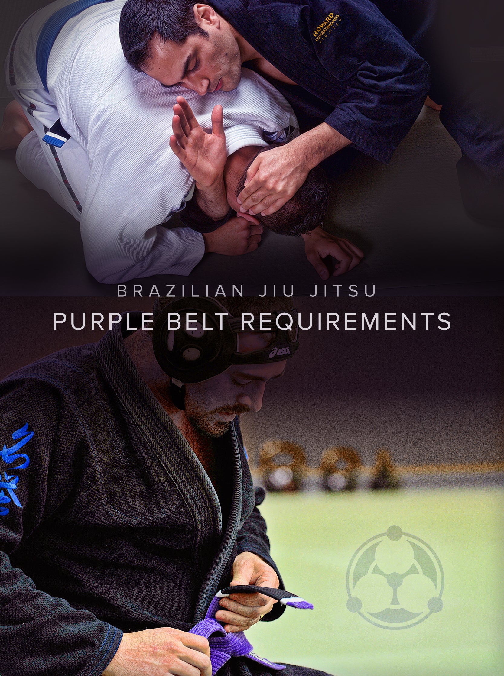 Brazilian Jiu Jitsu Purple Belt Requirements by Roy Dean Digital