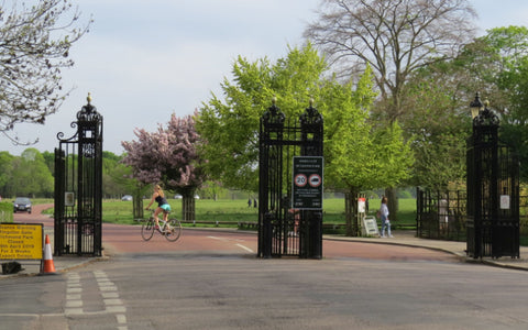 Richmond Park