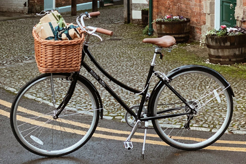 Birdie Leichtgewichtfahrrad