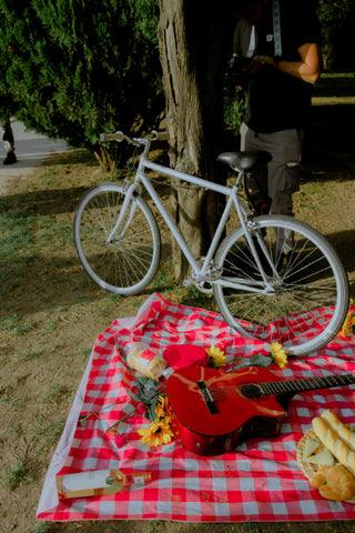 Picnic blanket with food, flowers, guitar, and a bicycle leaning on the tree.