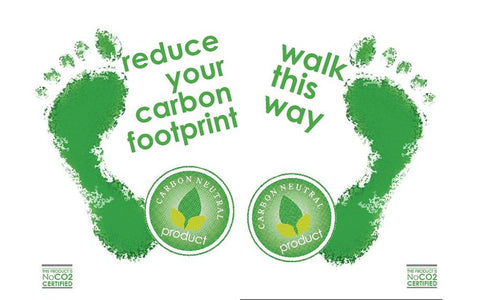 Carbon footprint infographic