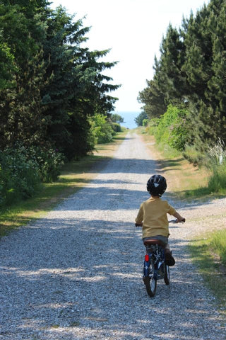 bike child with helmet long path lined with trees