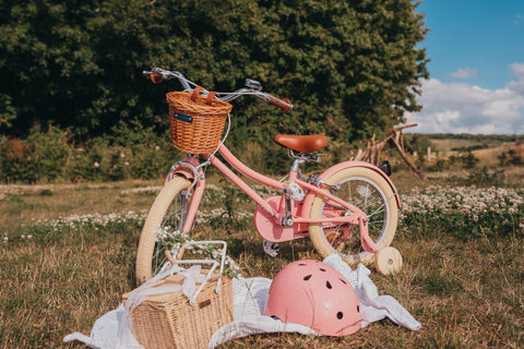 A pink gingersnap in a rural field with a picnic blanket and basket