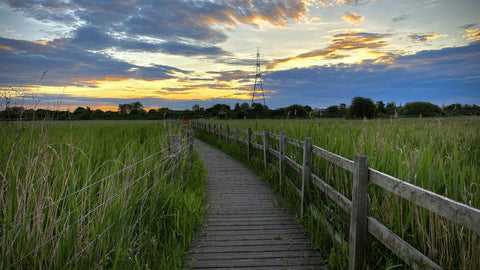 Radeln Sie zu den Walthamstow Wetlands