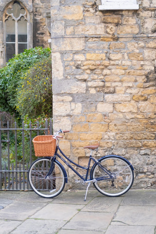 Brownie 7 Dutch Bike