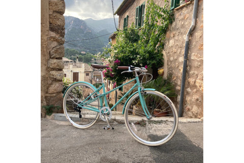 Kolibri-Vintage-Fahrrad