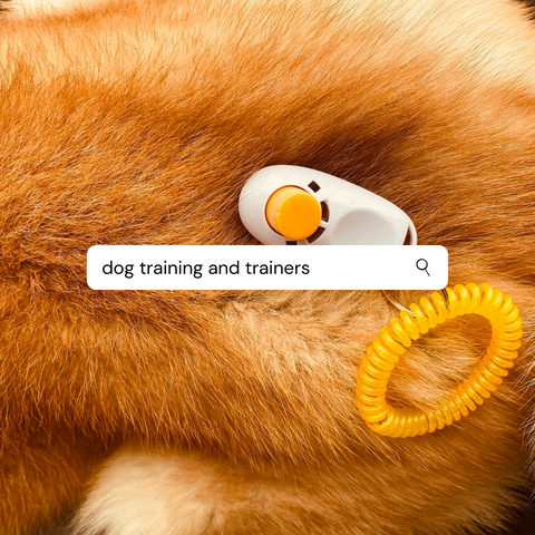 Dog Trainers and Training Vancouver BC