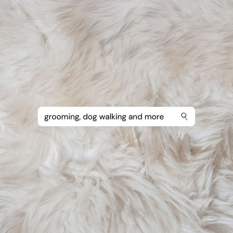 Dog Groomers, Dog Walkers, Vets Vancouver BC