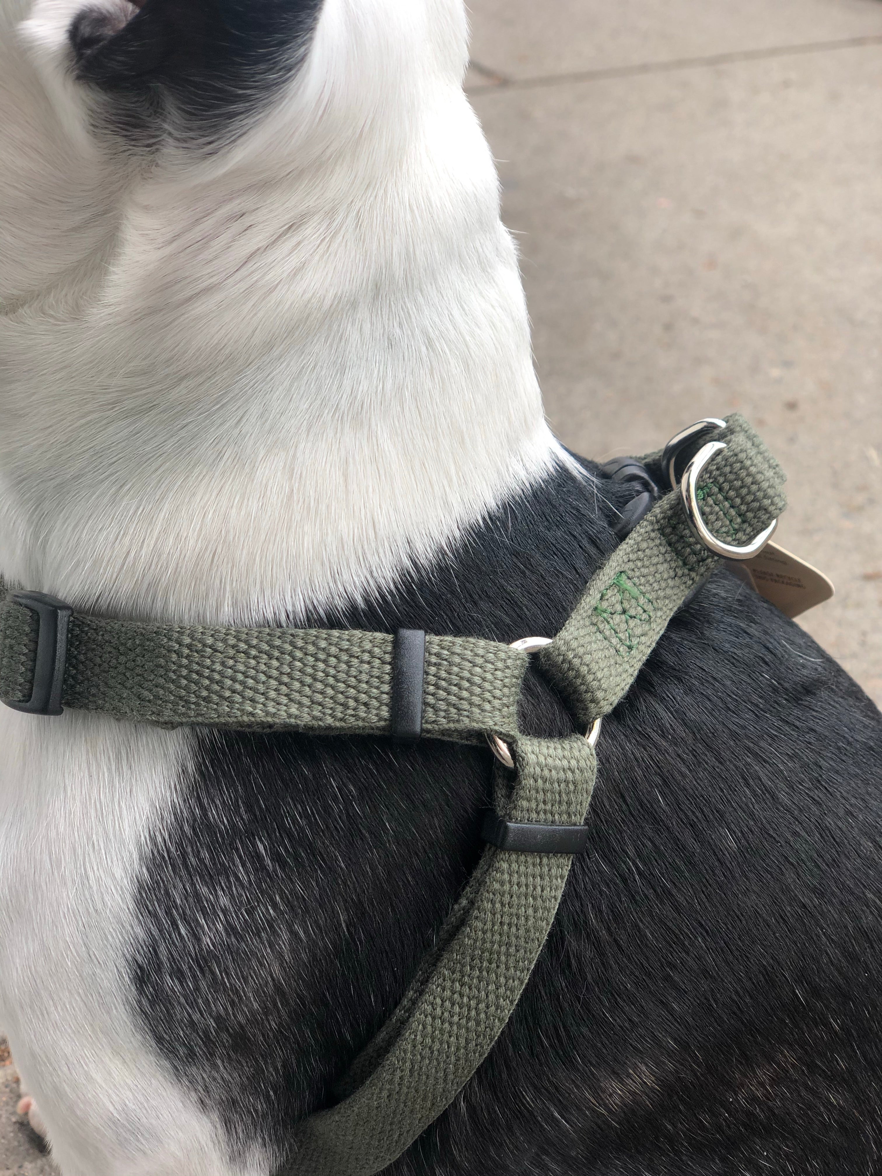 new earth dog harness