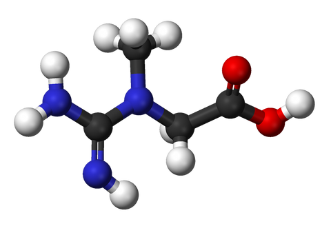 Creatine | Kre-Alkalyn | Muscle ATP | Bodybuilding | | Pump - PoorBoySupplements.com