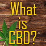 What is CBD